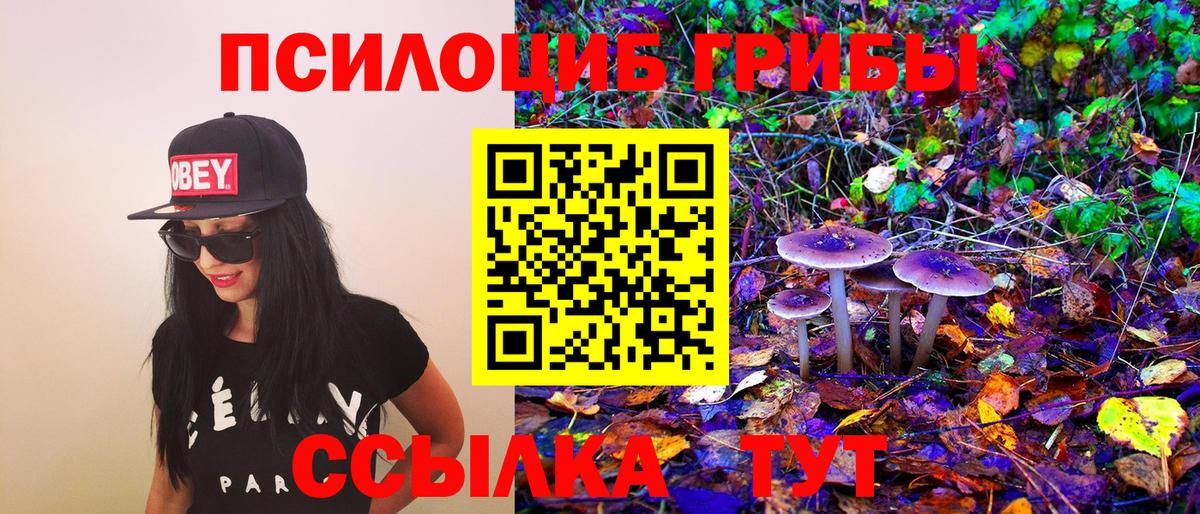 Москва  Псилоцибиновые грибы Psilocybe  Вход с VPN  Псилоцибиновые грибы Magic Shrooms 